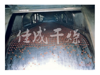 RL系列熔融造粒机