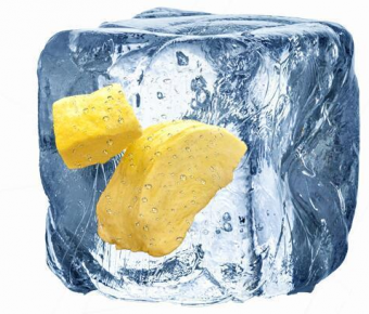 产品预冻在冻干机真空冷冻干燥过程的重要性？